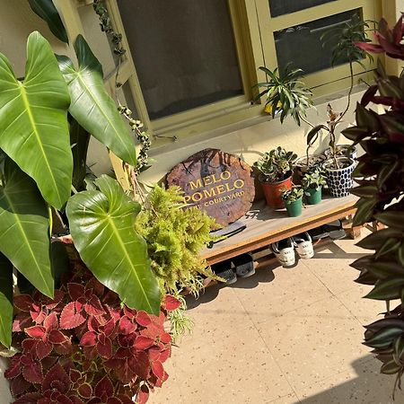 カトマンズThe Melo Pomelo Courtyard.アパートメント エクステリア 写真