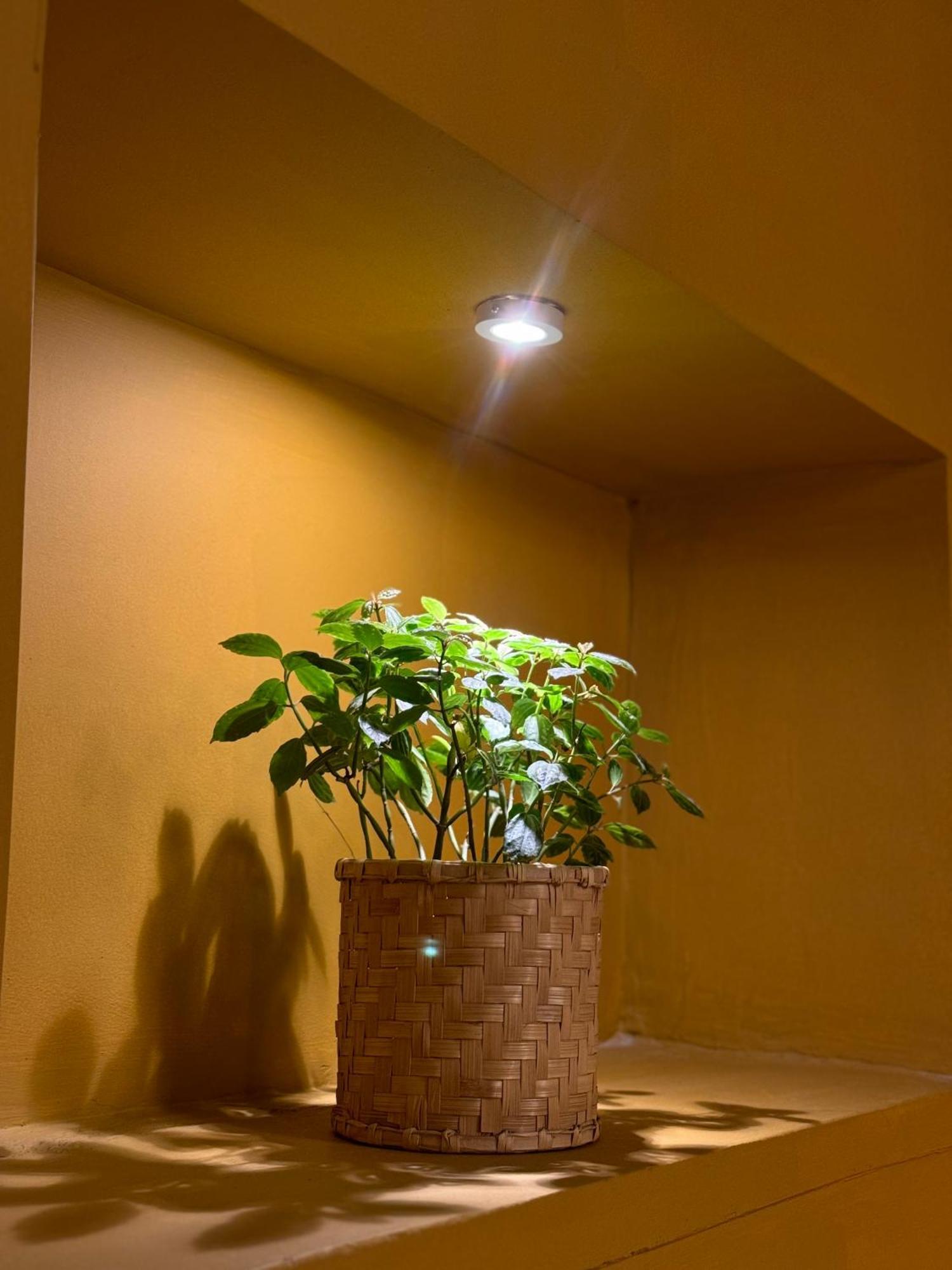 カトマンズThe Melo Pomelo Courtyard.アパートメント エクステリア 写真